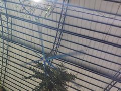 -石岐乳鸽村(南海第三分店)