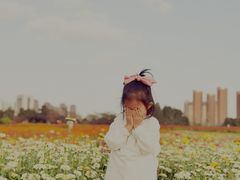 -映月湖中央公园