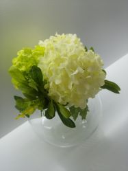 -HQ半永久纹绣纹眉