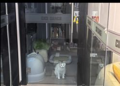 -CICI街舞专业培训
