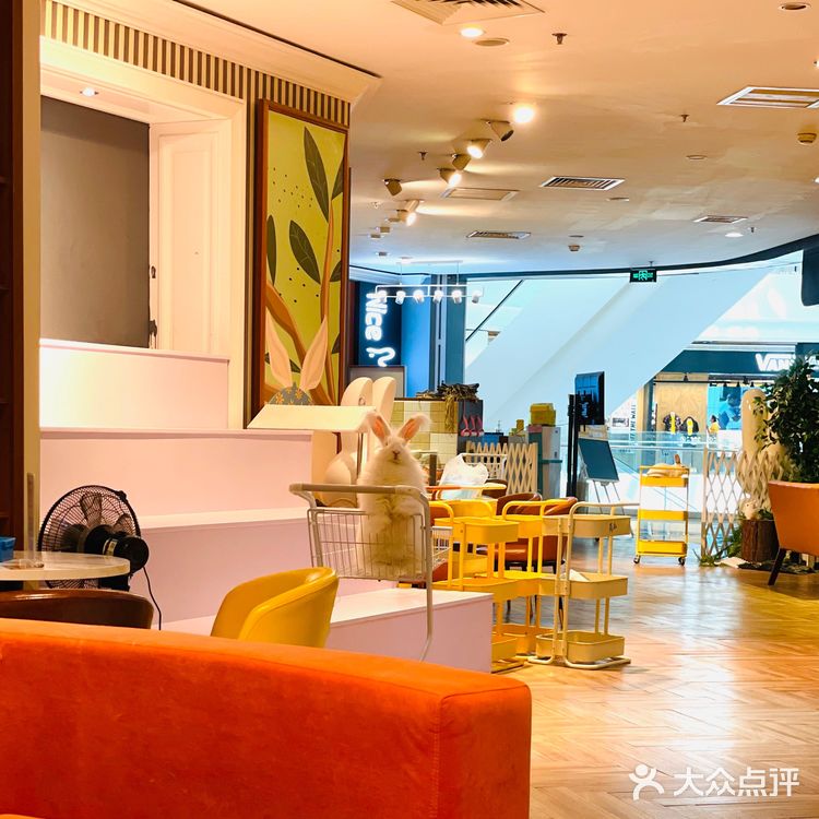 Nice to meet U 安哥拉兔巨兔体验馆