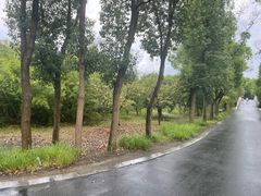 -同里国家湿地公园