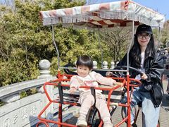 -上海海湾国家森林公园