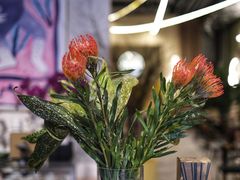 -PlantsEatery·植物食堂(REX春熙店)
