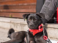 -太平洋数码广场