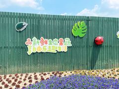 -菊园百果园