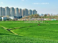 -白鹭湾湿地公园