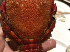 -安蒂娅·海鲜自助餐厅(安蒂娅美兰酒店)