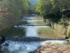 -广州白江湖森林公园