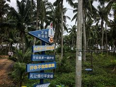 -东郊椰林