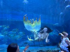 -华夏文旅海洋公园