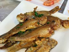 香煎海鱼-阳江餐厅·30年老字号·粤菜海鲜大排档