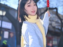 -北京国子监胡同