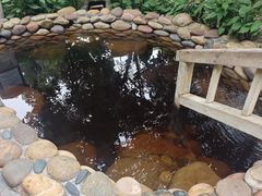 -融汇温泉