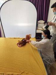 -海豚湾高端月子会所(黄浦店)