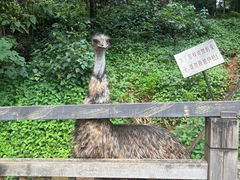 -昆明动物园
