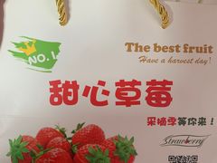 -甜心庄园·甜心草莓采摘园(西青中北店)