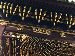 -汇龙潭