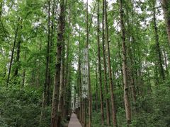 -同里国家湿地公园