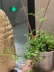 点击看大图 -Y+U遇瑜伽·普拉提