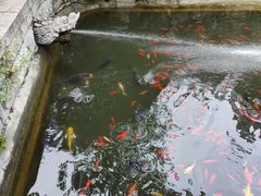 -红螺寺