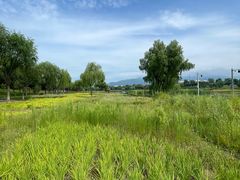 -门城湖公园