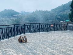 -重庆云阳龙缸景区