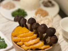 -汤城·料青山