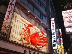 -道顿堀