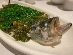 烧椒鲈鱼-尘香•传统川菜(创汇首座店)