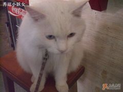 -Babycat私家御饼屋(龙头路一店)