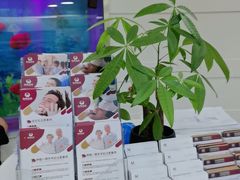 -雅悦齿科(顾村公园店)
