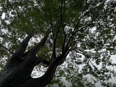 -辋川溶洞