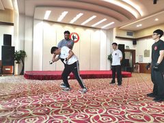 -仁义咏春拳馆(黄村国术馆)