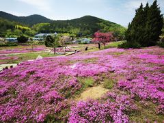 -棒棰岛宾馆景区