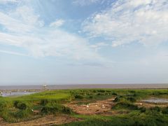 -南汇嘴观海公园