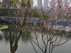 -重庆彩云湖湿地公园