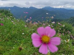 -石潭村
