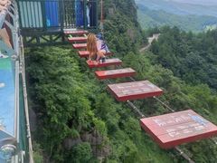 -梦幻奥陶纪景区