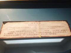 -宁夏博物馆