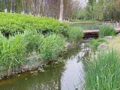 -西安浐灞国家湿地公园