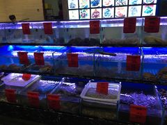 水产区-金海湾海鲜排档(朱家尖店)