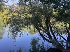 -贵阳市花溪国家城市湿地公园