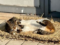 -江南大学(蠡湖校区)