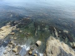 -大连金石滩滨海国家地质公园
