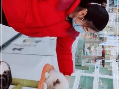 -糯米喵星人·撸猫猫舍咖啡馆(西市场嘉华店)