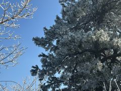 -东天目山风景区