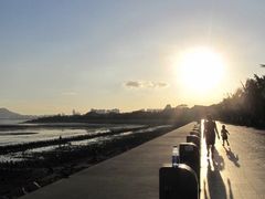 -宝安西湾红树林湿地公园