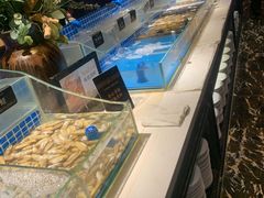 -加餐海鲜自助(集美银泰百货店)