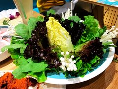 -青瓷火锅料理(西单大悦城店)